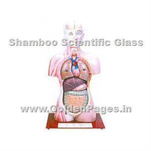 > </div>
<div class=